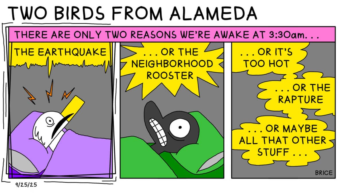 Alameda Post - Two Birds from Alameda for September 25, 2025. Text across the top reads, "There are only two reasons we're awake at 3:30 a.m...." First panel: Seagull looks terrified awake in bed while the panel shakes. Text says "The earthquake" Second panel: Goose looks startled in bed, and text says "Or the neighborhood rooster." Third panel: More text says "or it's too hot... or the rapture... or maybe all that other stuff..."