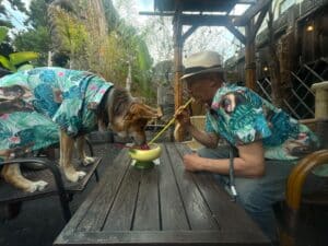 Alameda Post - mouf the dog and his human companion sit across the table from eat other at Forbidden Island. They are both wearing Hawaiian shirts, and they lean over the same drink to sniff or sip from a straw