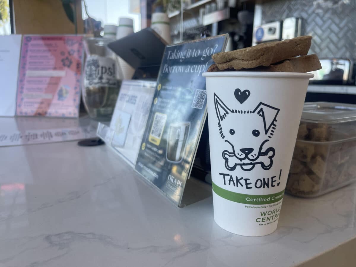 Alameda Post - a disposable coffee cup sitting on a cafe counter full of dog biscuits. It says, "Take one!"