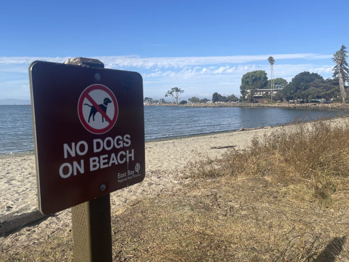 Alameda Post - a sign next tot he beach that says "No dogs on beach"