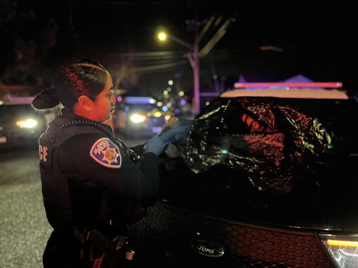 Alameda Post - An Alameda Police officer does something with a trash bag on the hood of a police vehicle. It's night time, and many other police vehicles are around