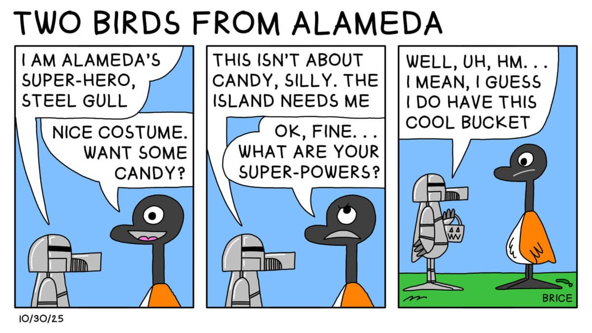 Alameda Post - Two Birds from Alameda for October 30, 2025. First panel: Goose talks to a bird dressed in armor. The armored bird says, "I am Alameda's Super-Hero, Steel Gull." Goose replies, Nice costume. Want some candy?" Second panel: Steel gull says, "This isn't about candy, silly. The island needs me." Goose responds, "Ok fine.. What are your super-powers?" Third panel: In a wider shot, we can see that Steel Gull holds a candy bucket. Steel Gull says, "Well, uh, hm... I mean, I guess I do have this cool bucket."
