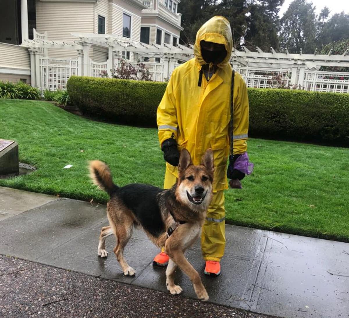 Alameda Post - Mouf the dog stands next to his human, who is decked out in a costume or rain gear, head to toe in bright yellow. 