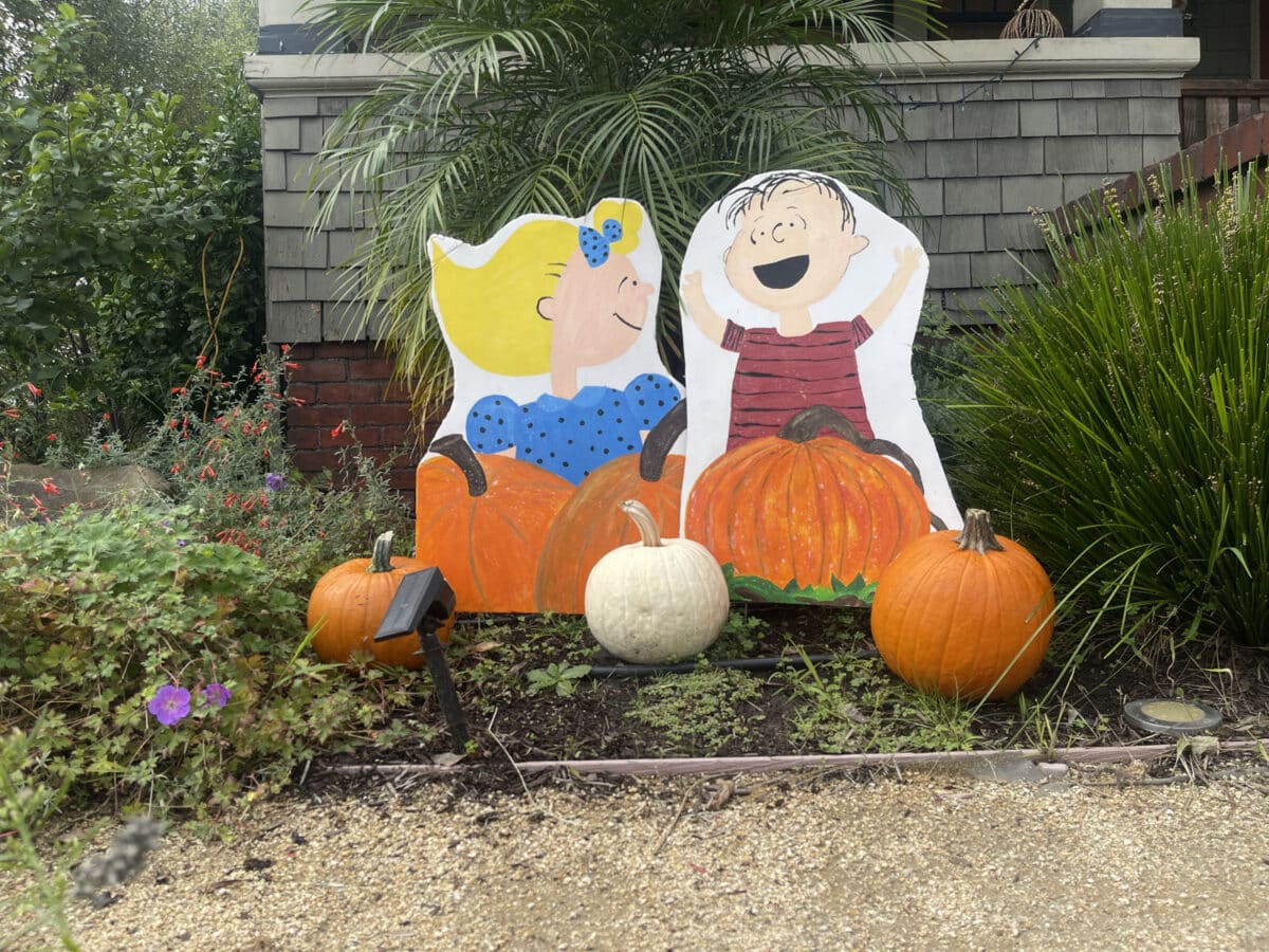 Alameda Post - Cardboard cutouts of Sally and Linus from Charlie Brown sit as decorations by some pumpkins.