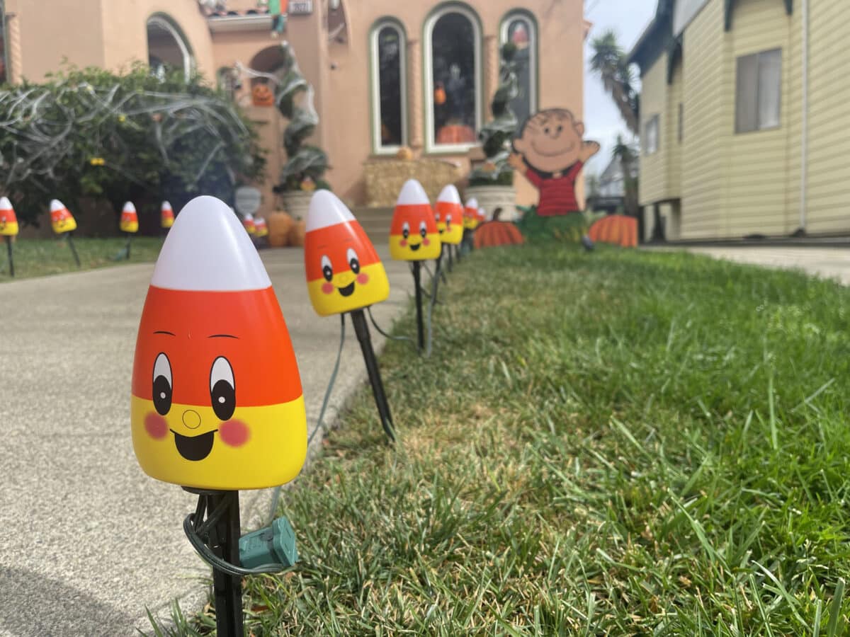 Alameda Post - Small smiling candy corn halloween decorations along someone's drive or walkway.