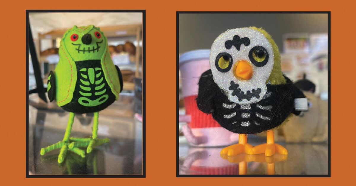 Alameda Post - Small decorative felt figurines in Halloween costumes