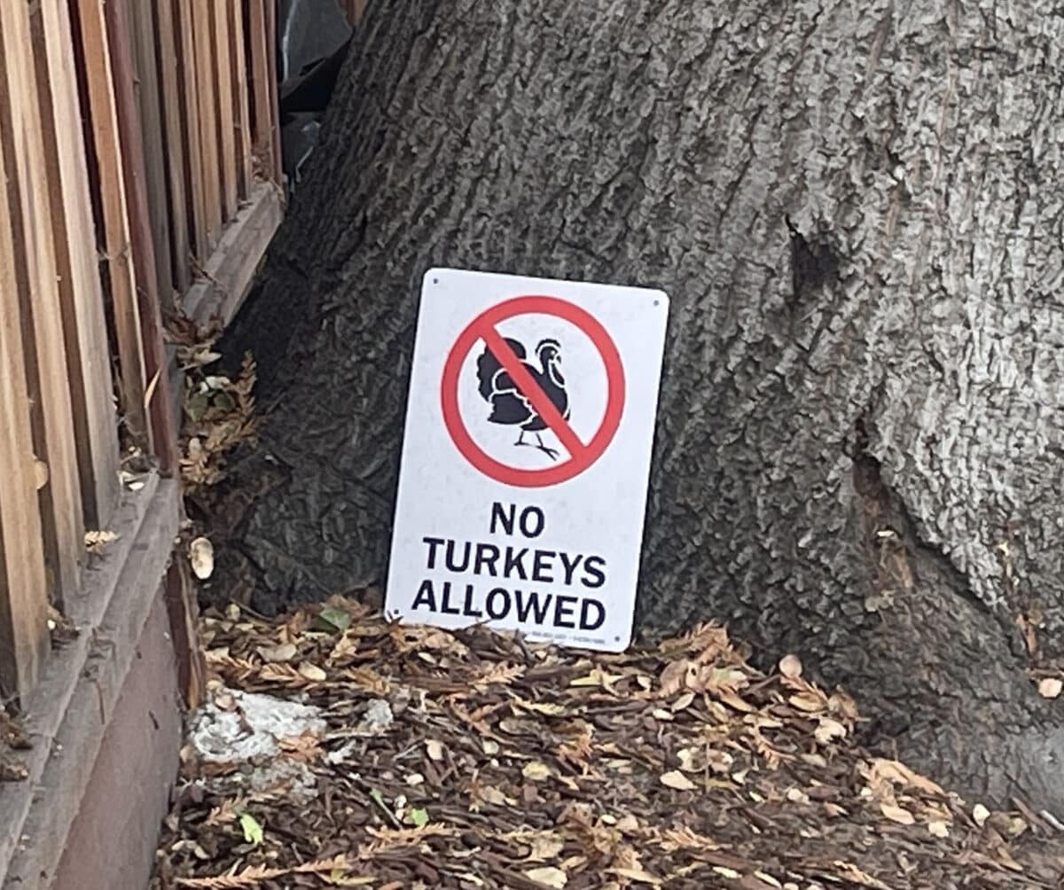 Alameda Post - A small red and white sign sits in a yard at the base of a tree. It says "No turkeys allowed" and has a turkey with a circle and slash through it.
