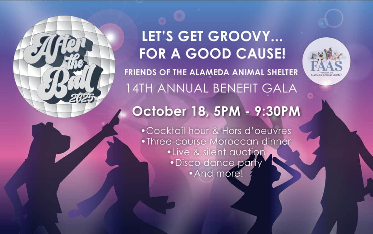 Alameda Post - The poster for FAAS's fundraiser, After the Ball.