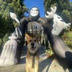 Alameda Post - Mouf the dog sits in front of a huge inflatable Grim reaper arch.