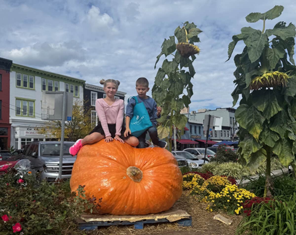 Alameda Post - Two children sit on top of a very large pumpkin.