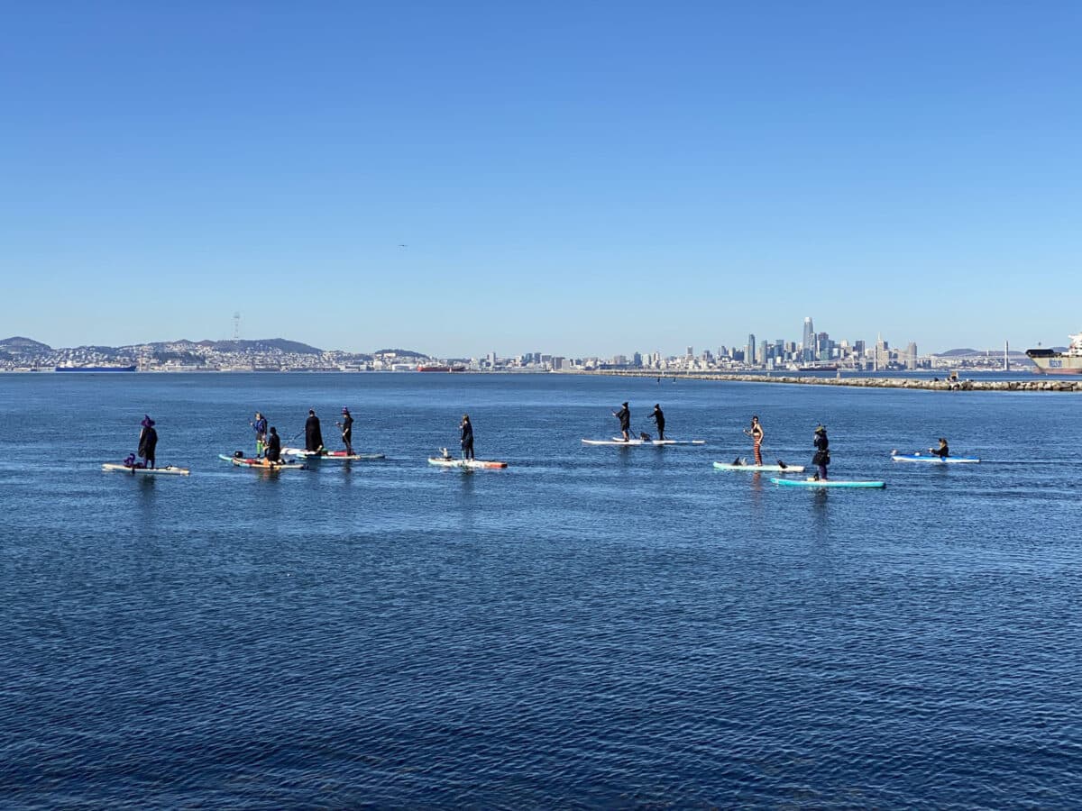 Alameda Post - A group of paddle boarders in witch's hats and costumes