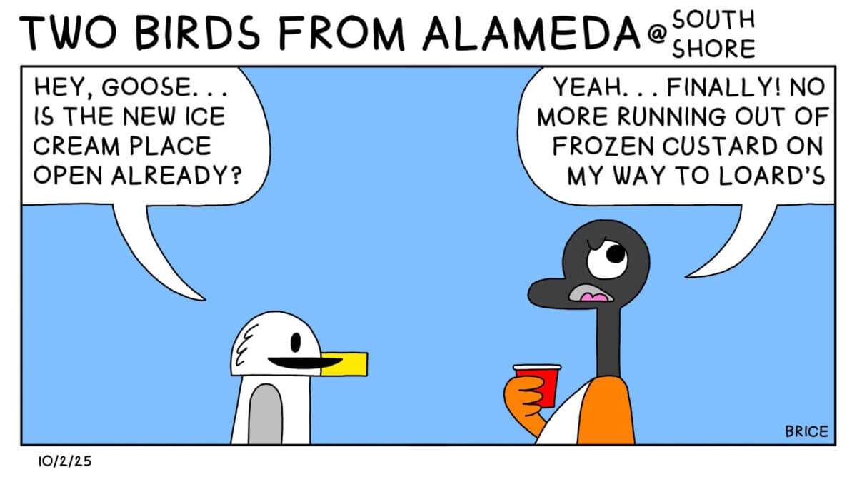 Alameda Post - Two Birds from Alameda for October 2, 2025. The top banner that usually just reads "Two birds from Alameda" has extra text that reads "@ South Shore." Only Panel: Seagull stands and talks to Goose, who is holding a red solo cup. Seagull says, "Hey Goose... is the new ice cream place open already?" Goose replies, "Yeah... Finally! No more running out of frozen custard on my way to Loard's."