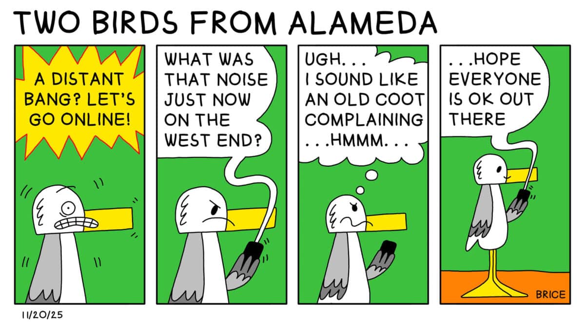 Alameda Post - Two Birds from Alameda for November 20, 2025. First Panel: Seagull grimaces as a sharp bubble above them says "A distant bang? Let's go online!" Panels two, three, and four: Seagull looks at their phone, which says " What was that noise just now on the West End? Ugh.. I sound like an old coot complaining... hm... Hope everyone is ok out there"