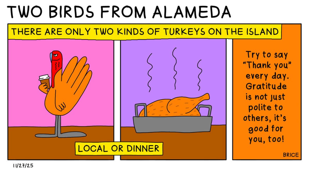 Alameda Post- Two Birds from Alameda for November 27, 2025. Across the top, text says, "There are only two kinds of turkeys on the Island." First panel: A live turkey stands and holds a cup of coffee. Second panel: A roast turkey sits in a roasting pan. Text beneath the panels reads, "Local or dinner." Third panel: Text says, "Try to say thank you everyday. Gratitude is not just polite to others, it's good for you, too!"