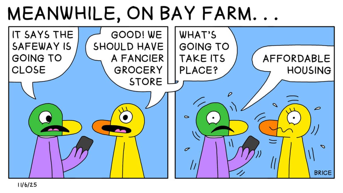 Alameda Post - Two Birds from Alameda for November 6, 2025. The headline says, "Meanwhile, on Bay Farm..." Panel 1: A pigeon and duck talk to one another. The pigeon looks at a phone and says, "It says that Safeway is going to close." Duck replies, "Good! We should have a fancier grocery store." Final panel: Duck asks, "What's going to take its place? Pigeon replies, "Affordable housing." and both birds look nervous. 