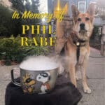 Alameda Post - Mouf the dog sits in front of a Halloween mug that is steaming with dry ice. Text over the top says "In Memory of Phil Rabe."