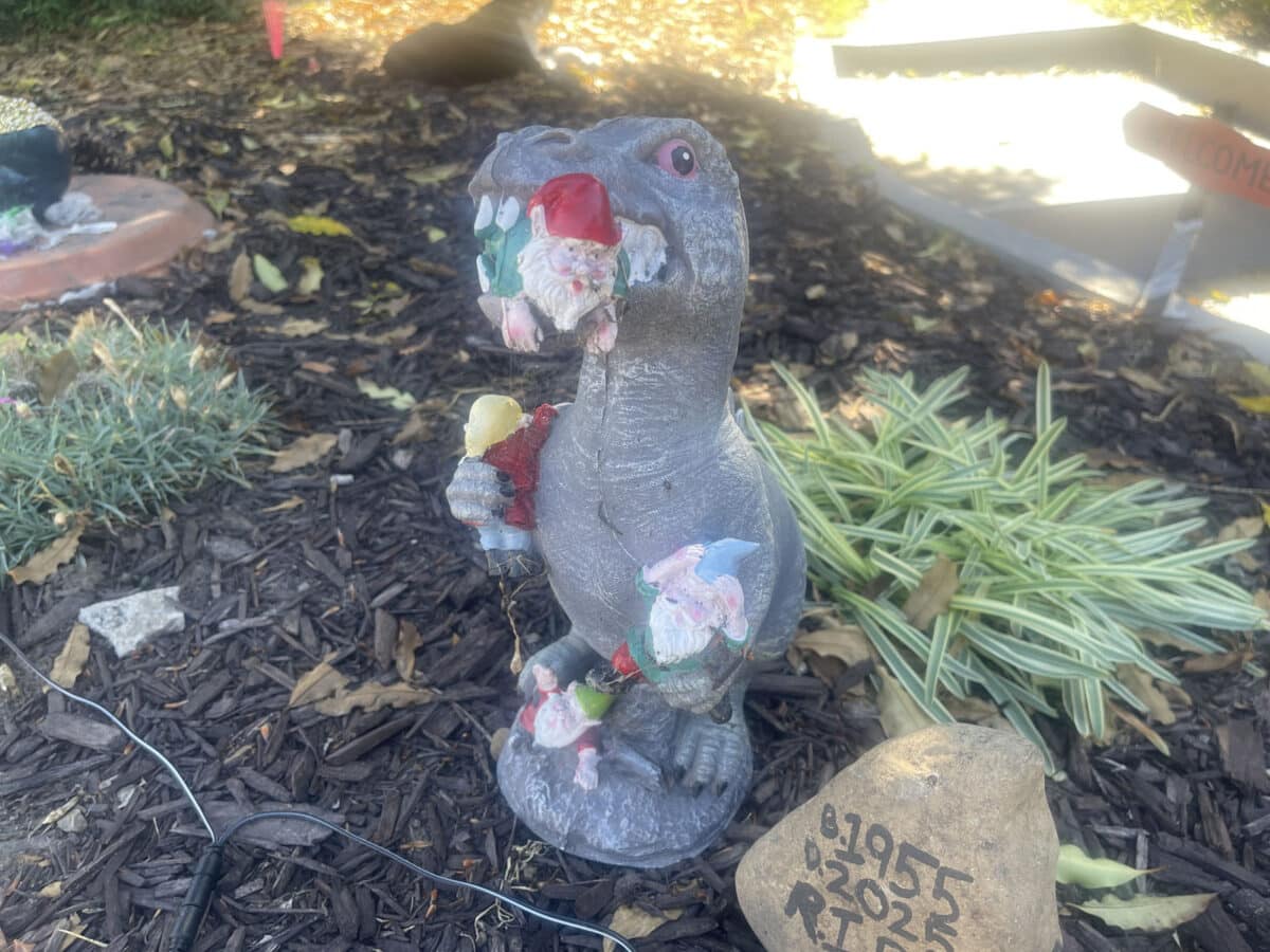 Alameda Post - A garden decoration of a t rex eating garden gnomes. 