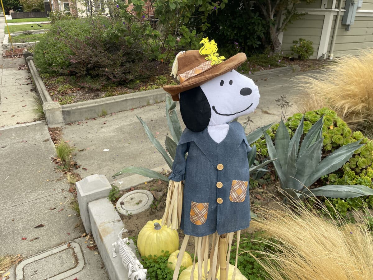 Alameda Post - A snoopy decoration dressed up for fall. 