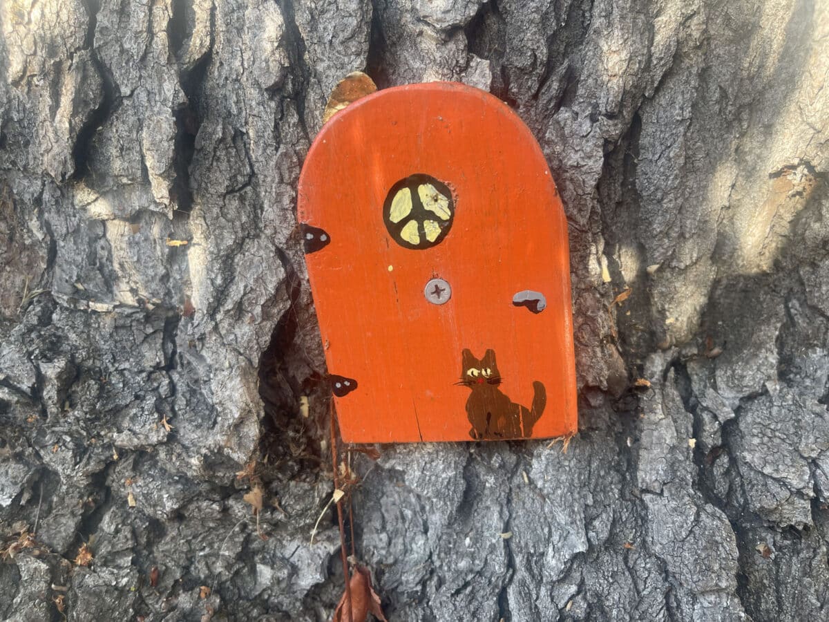 Alameda Post - An orange Halloween themed fairy door on a tree.