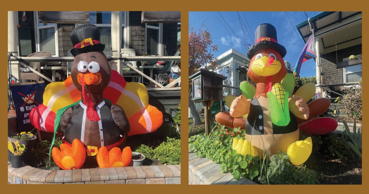 Alameda Post - Inflatable turkey decorations. 