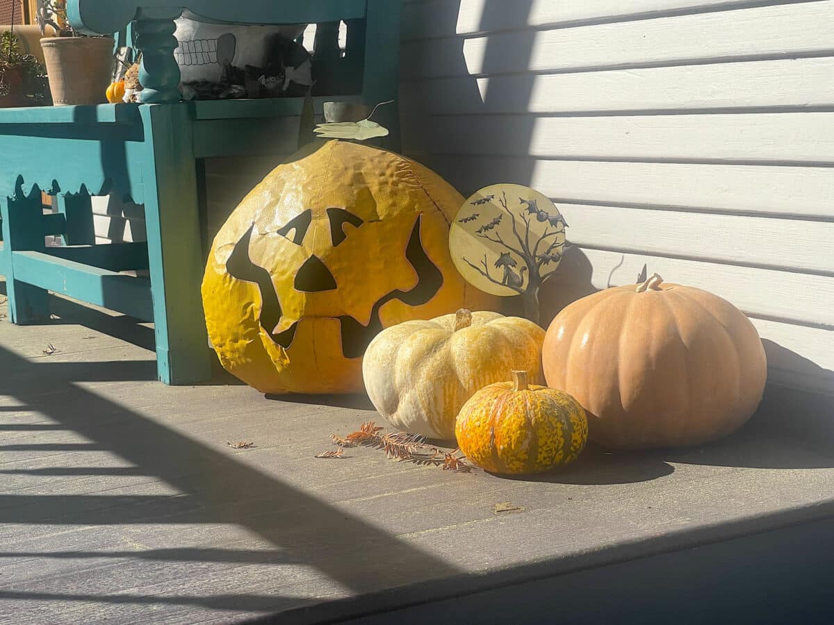 Alameda Post - A pile of pumpkins and gourds. 