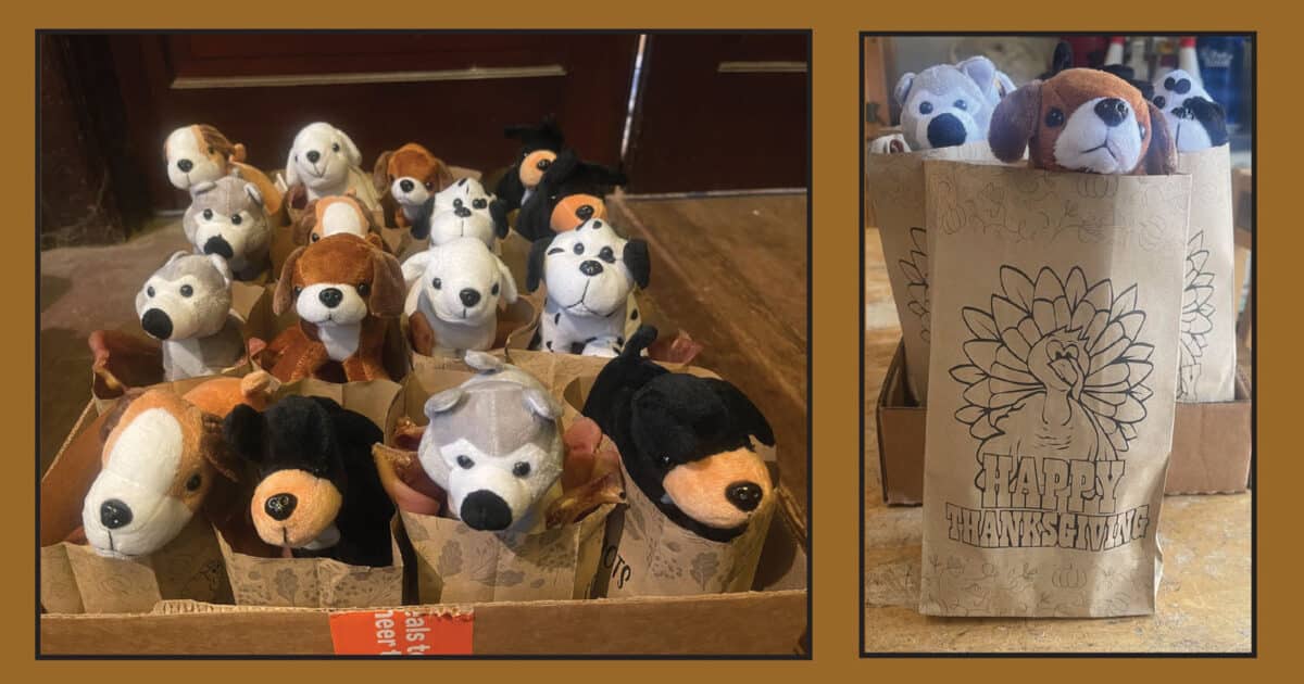 Alameda Post - Goodie bags for shelter dogs, including cute stuffed animals. 