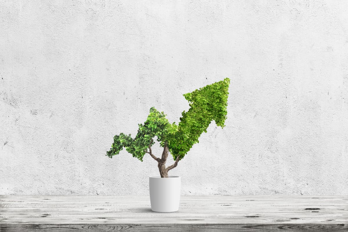 Alameda Post - A stock image of a potted shrub in the shape of a line on a graph trending upwards.