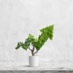 Alameda Post - A stock image of a potted shrub in the shape of a line on a graph trending upwards.