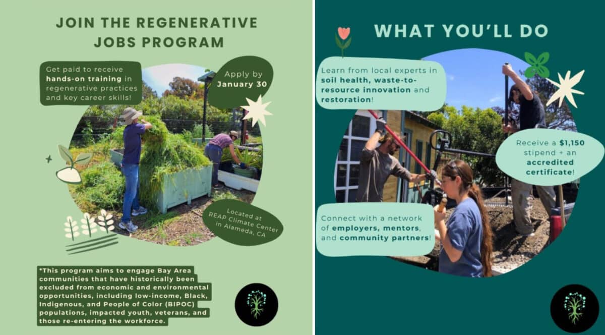Alameda Post - A graphic advertising the Regenerative Jobs program at REAP Climate Center.