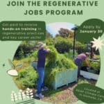 Alameda Post - A graphic advertising the Regenerative Jobs program at REAP Climate Center.