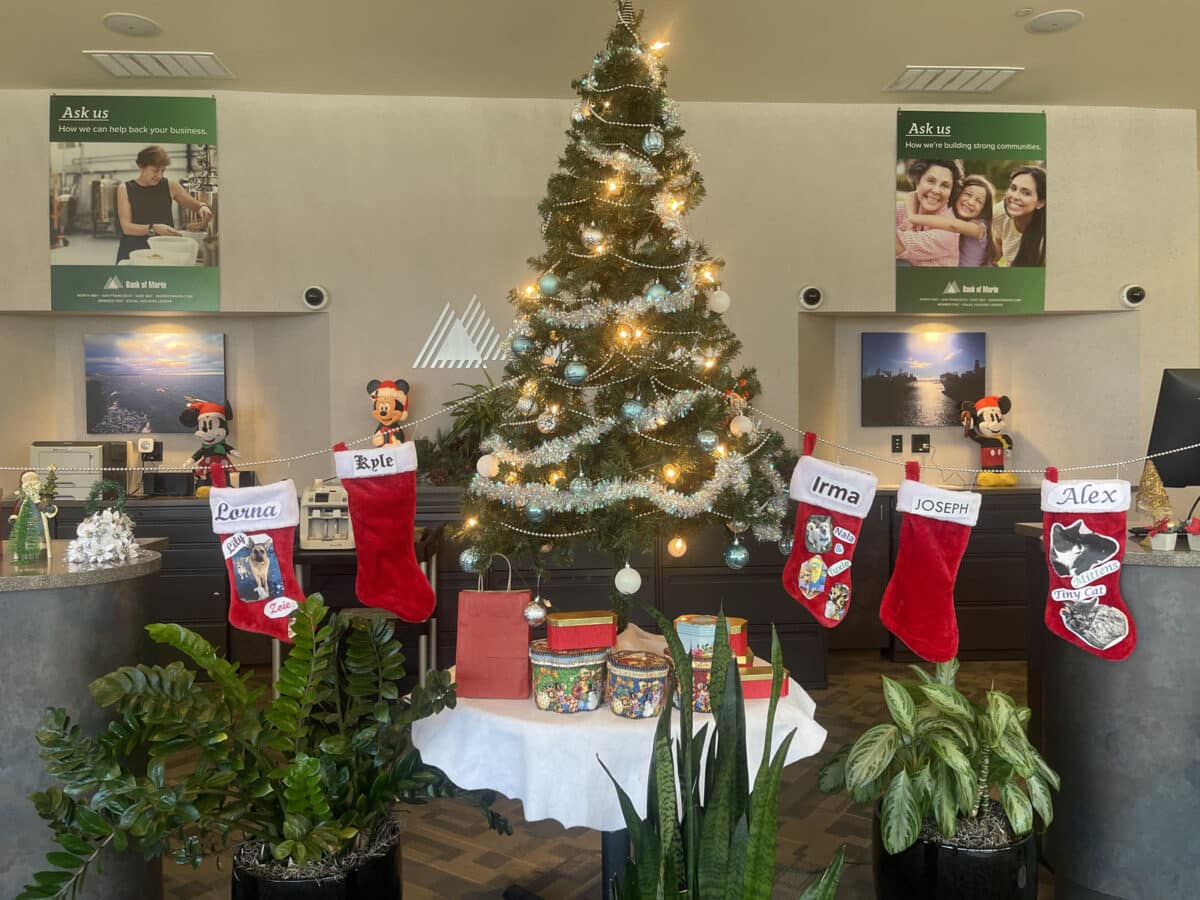 Alameda Post - A Holiday tree and stockings inside of a bank.