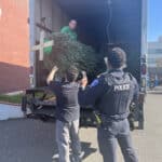 Alameda Post - APD officers unload a Christmas tree from the back of a truck.