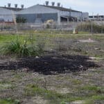 Alameda Post - A photo of a pile of tar in an open field at Alameda Point, left by a Chevron company.