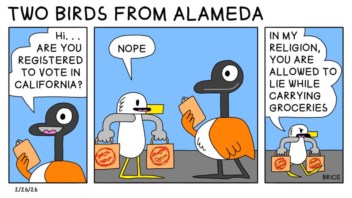 Alameda Post - Two Birds from Alameda for February 26, 2026. First panel: Goose holds a clipboard and asks, "Hi... are you registered to vote in California?" Second panel: Seagull is holding paper bags and says, "Nope." Third panel: Seagull is walking away unhappily, saying, "In my religion, you are allowed to lie while carrying groceries."