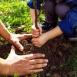 Alameda Post - An adult and child plant a tree together.