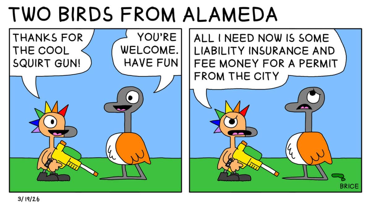 Alameda Post - Two Birds from Alameda for March 19, 2026. First panel: a young bird with a rainbow mohawk and a water gun talks with Goose. The young bird says, "Thanks for the cool squirt gun!" Goose replies, "Your'e welcome. Have fun. Second panel: The young bird replies, 'All I need now is some liability insurance and fee money for a permit from the city. 