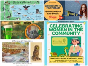 Alameda Post - A collage of events this week in Alameda.