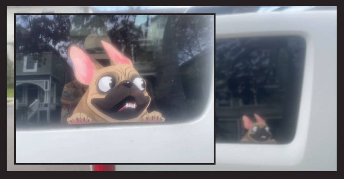 Alameda Post - A car window decal of a cartoon pug excitedly looking out the window.