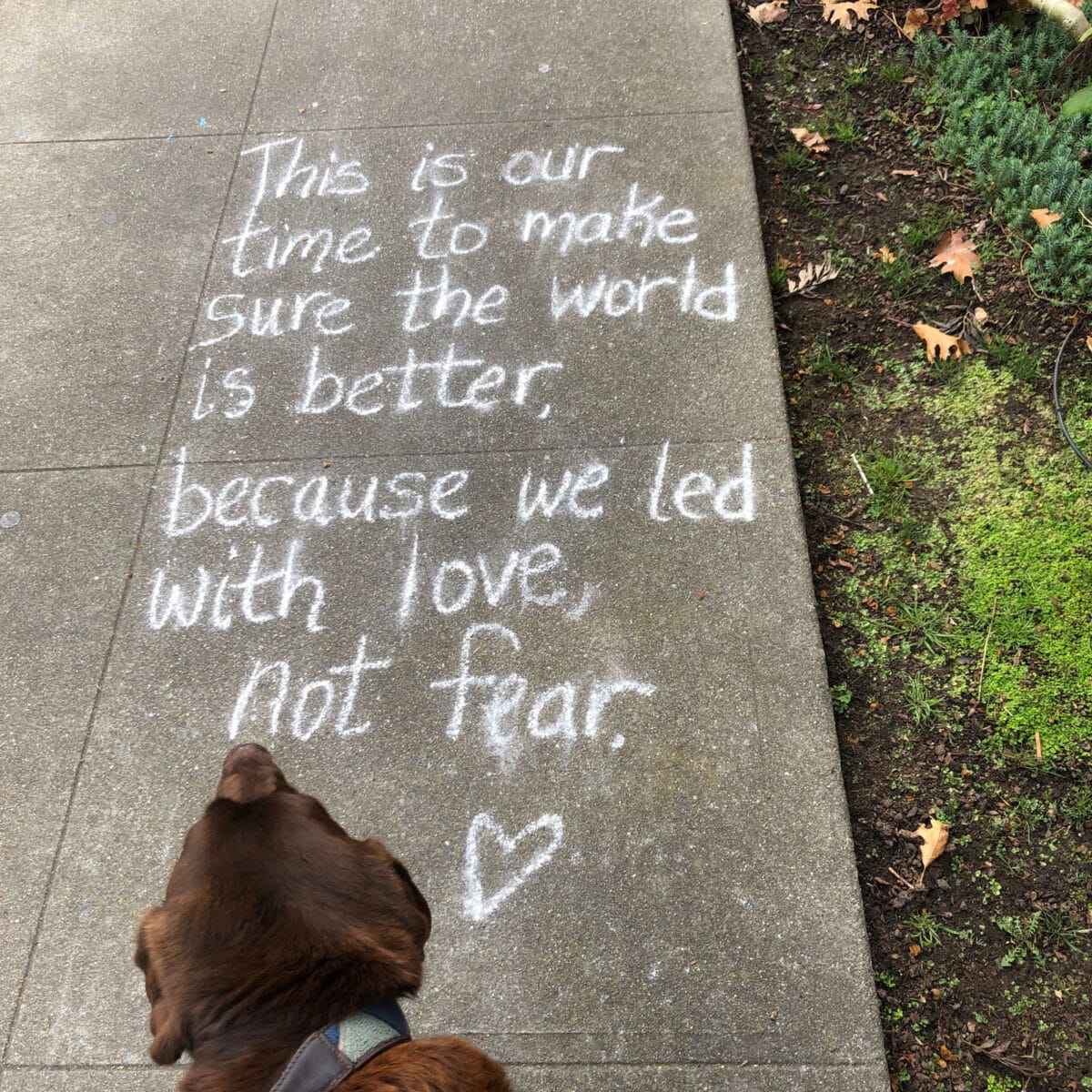 Alameda Post - A brown lab and a view of the sidewalk. On the sidewalk a chalk message is written that says This is our time to make sure the world is better because we led with love not fear.