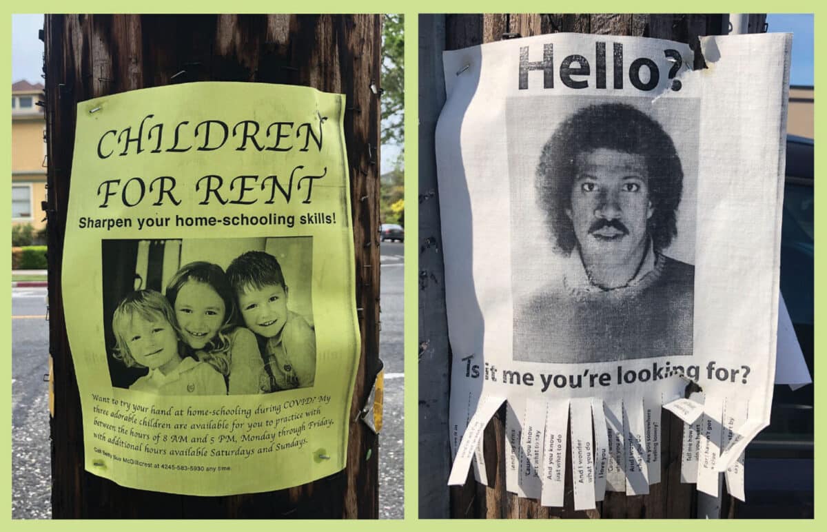 Alameda Post - Two joke posters on telephone poles. One says "Children for rent" and one has a photo of a man that says "Hello? Is it me you're looking for>"