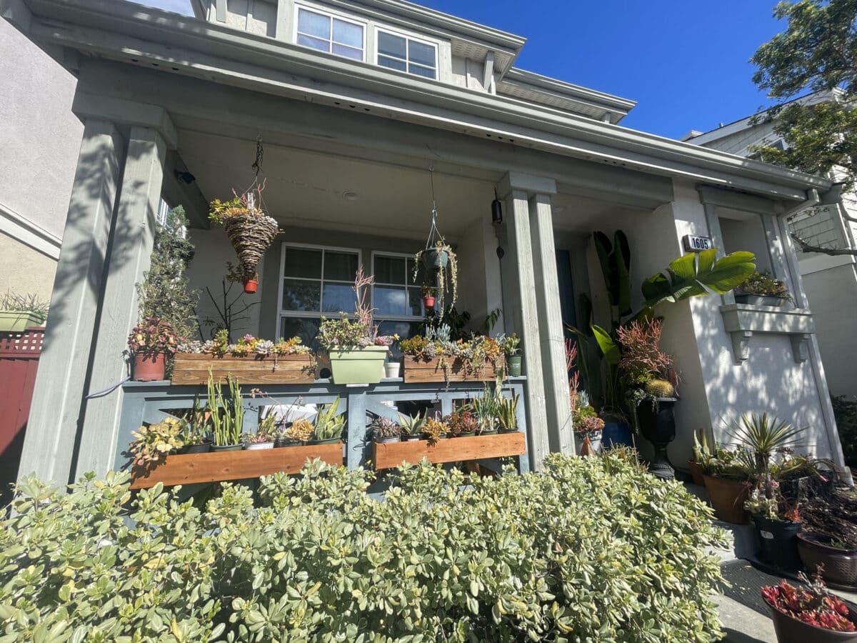 Alameda Post - the front of a house with lots of planted succulents. 