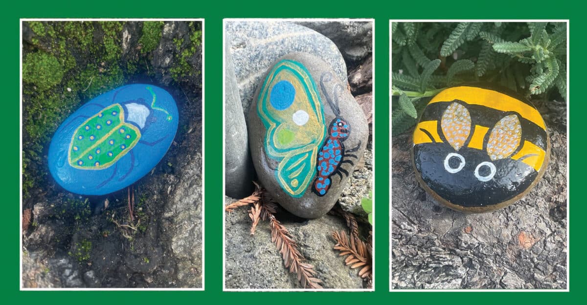 Alameda Post - Pretty painted rocks including a beetle, butterfly, and bee.