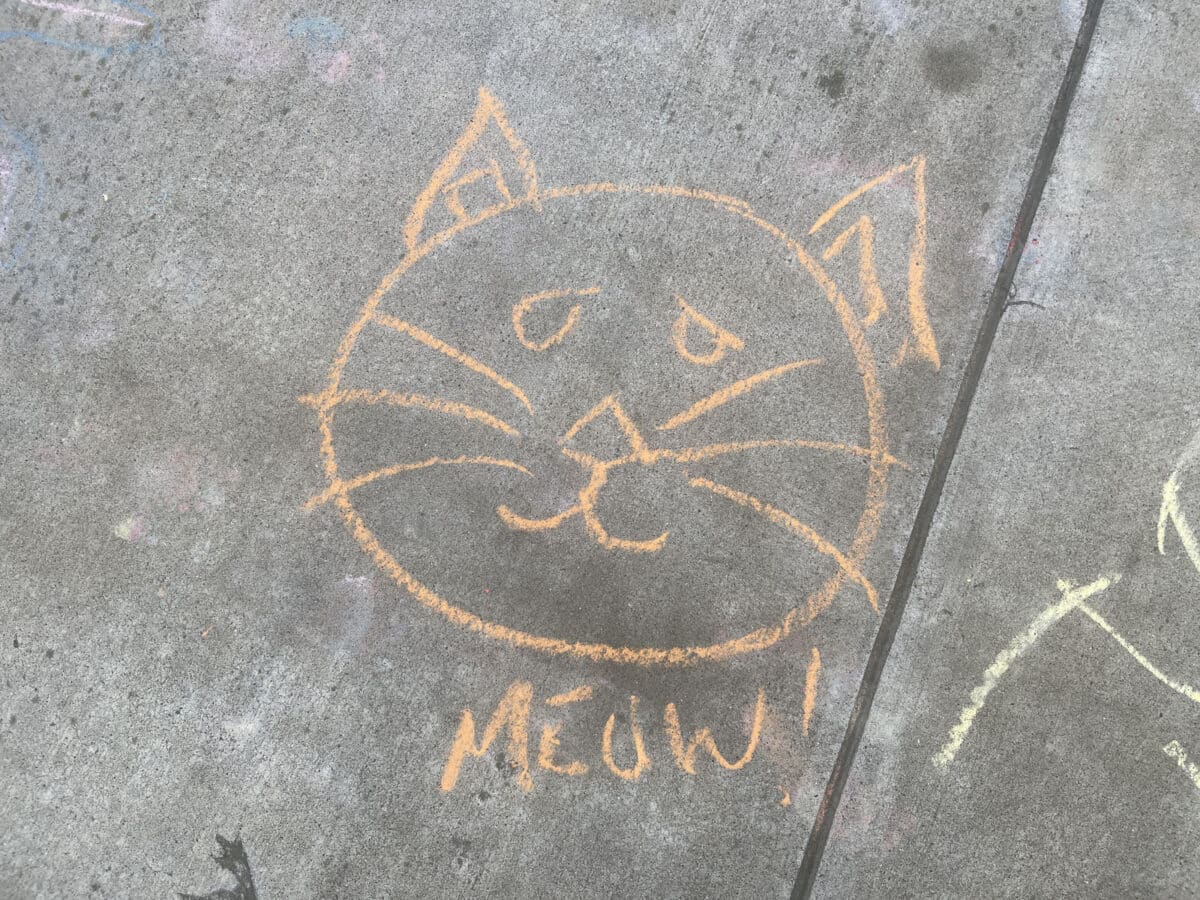 Alameda Post - Sidewalk chalk of a cat with the word "Meow"