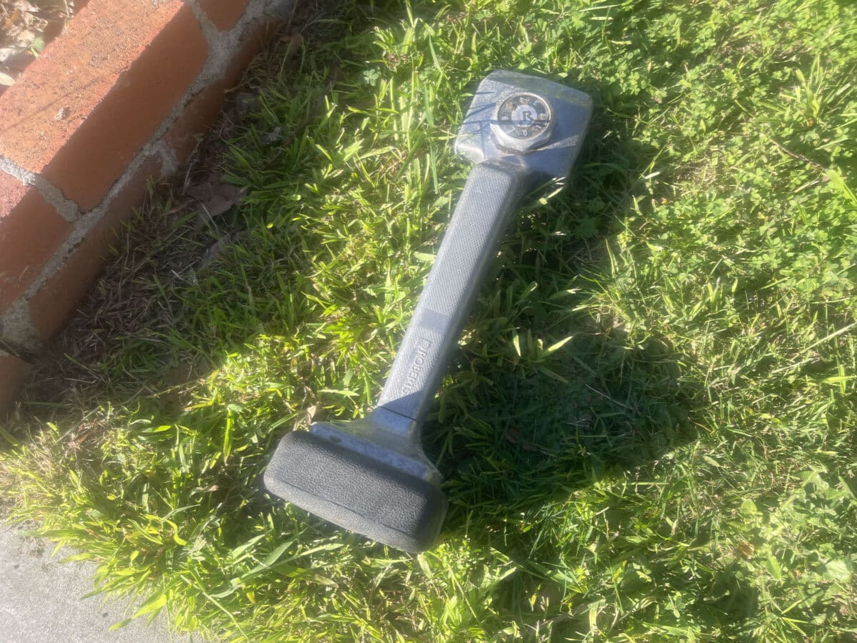Alameda Post - An unidentified object in a front yard.