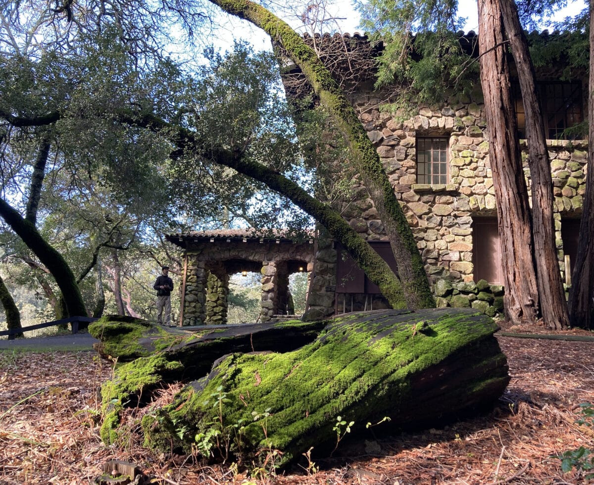 Alameda Post - A man stands next to a beautiful stone home among trees and moss.