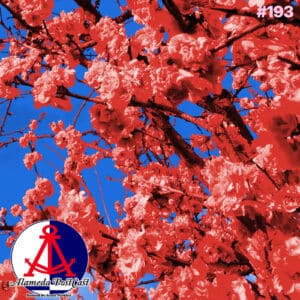 Alameda PostCast Episode 193 for March 6, 2026
