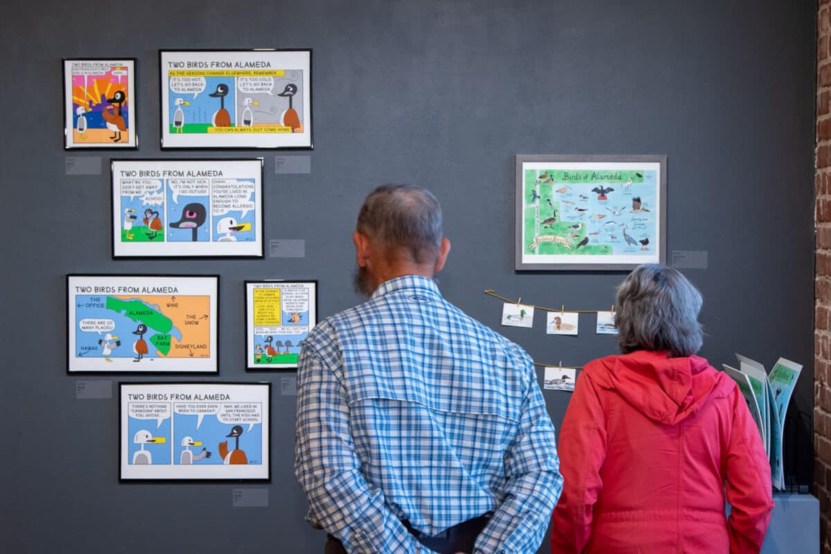Alameda Post - A couple looks at a wall of artwork for Flight Patterns, including comics from Two Birds from Alameda