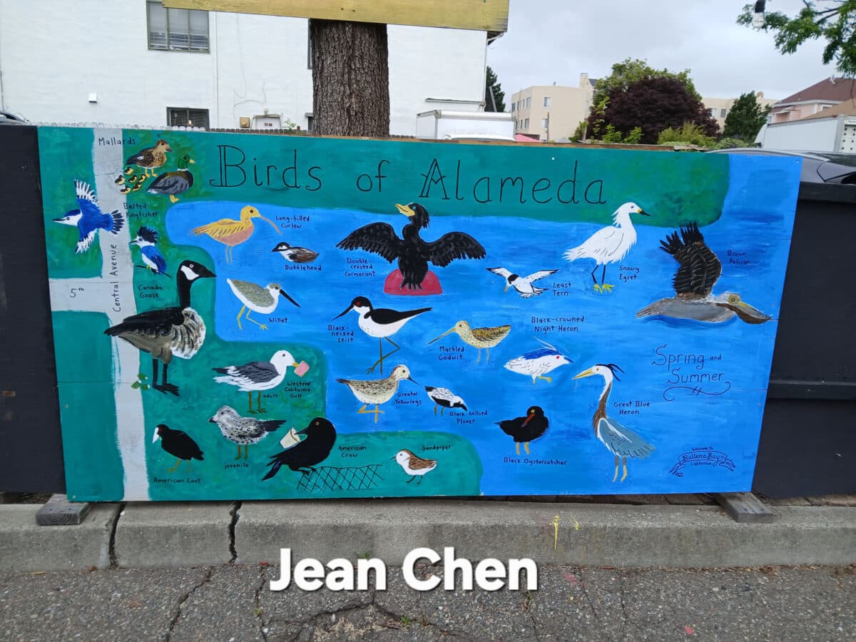 Alameda Post - A mural labeled Birds of Alameda with lots of labeled birds in the water and on shore.