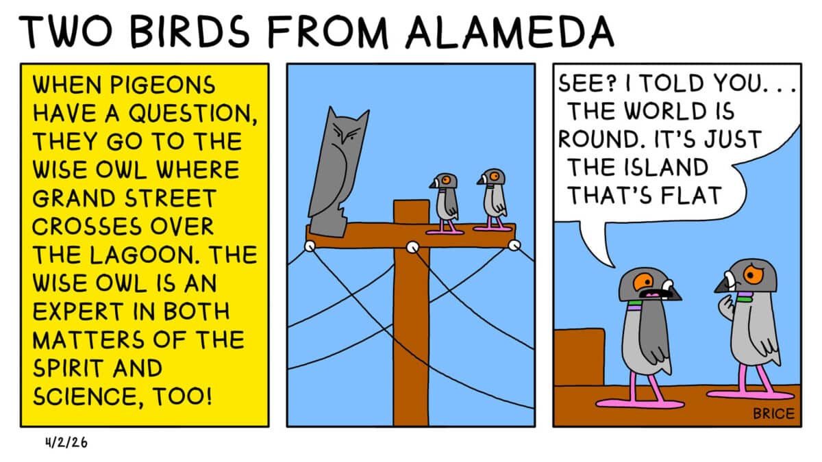 Alameda Post - Two Birds from Alameda for April 2, 2026. The first panel says, "When pigeons have a question, they go to the wise owl where Grand street crosses over the lagoon. The wise owl is an expert in both matters of the spirit and science, too!" Second panel: Two pigeons sit on a telephone pole next to an owl or figure of an owl. Third panel: One pigeon says to the other, "See? I told you. The world is round. It's just the island that's flat."