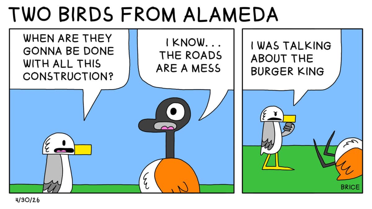 Alameda Post - Two Birds from Alameda for April 30, 2026. First panel: Seagull asks Goose, "When are they gonna be done with all this construction?" Goose answers, "I know, the roads are a mess." Second panel: Seagull says, "I was talking about the burger king." Goose has fallen over.